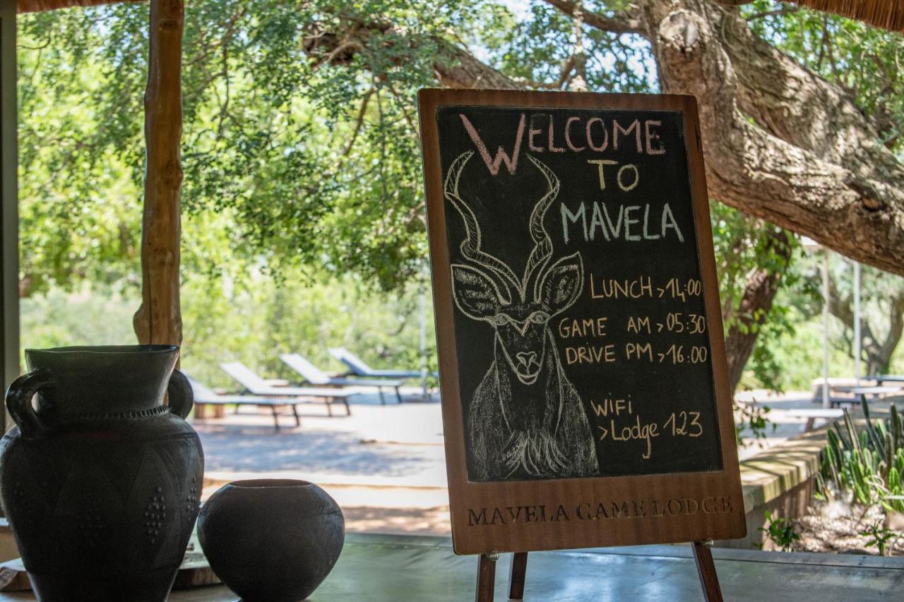 Mavela Game Lodge 음쿠제 외부 사진